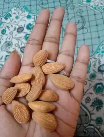 Customer photo: almonds held in a hand
